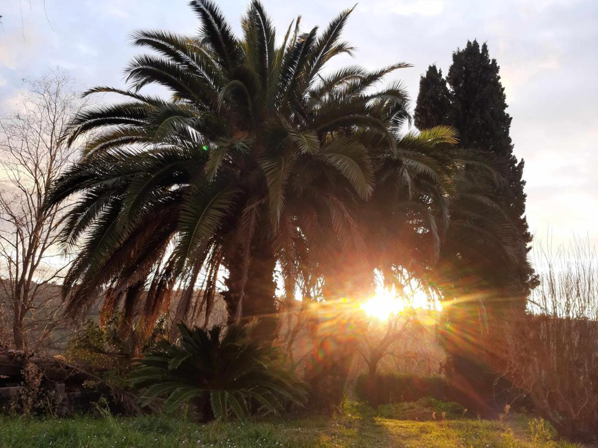La Meriggia Senigallia Agriturismo Ancona Luaran gambar
